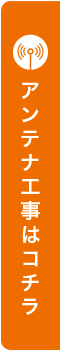 �A���e�i�E�G�A�R���H���̓R�`��