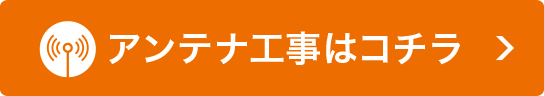 �A���e�i�E�G�A�R���H���̓R�`��