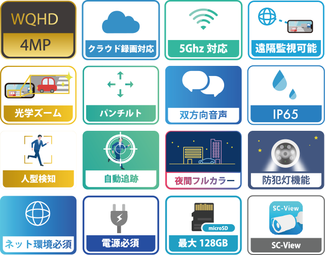 �Z�L���X�e�[�V���� �Z�L���K�[�hD�Y�[�� SC-BDGZ481
